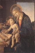 Sandro Botticelli Madonna and child or Madonna of the book Sweden oil painting artist